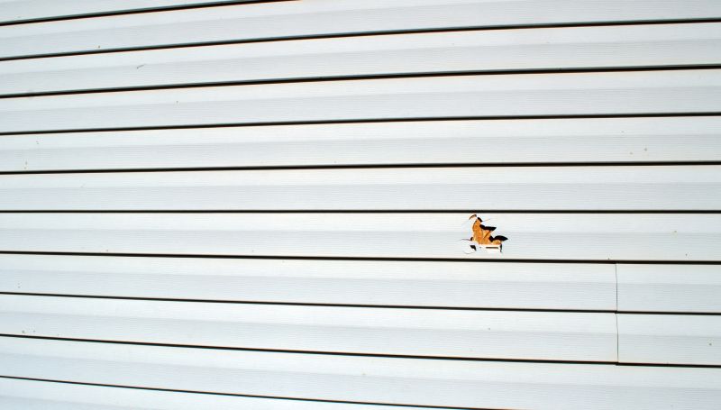 Vinyl Siding Repair - Professional Service - Image 1